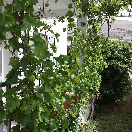 Lägenhet Pinta Pag Town