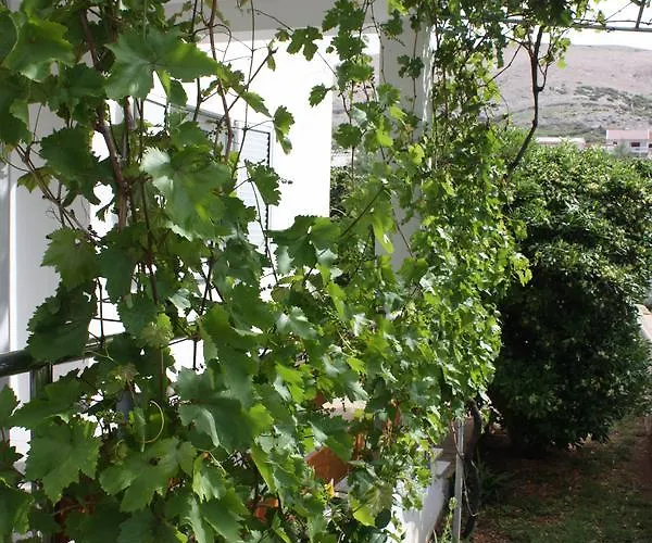 Διαμέρισμα Pinta Pag Town